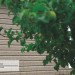 Сайдинг Ю-Пласт TIMBERBLOCK Пихта (Тимберблок) Cахалинская купить в Югорске