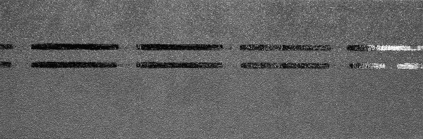 Коньково-карнизная черепица Docke Premium, черника купить в Югорске