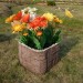 Цветник КАНЬОН купить в Югорске