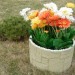 Цветник КАНЬОН купить в Югорске